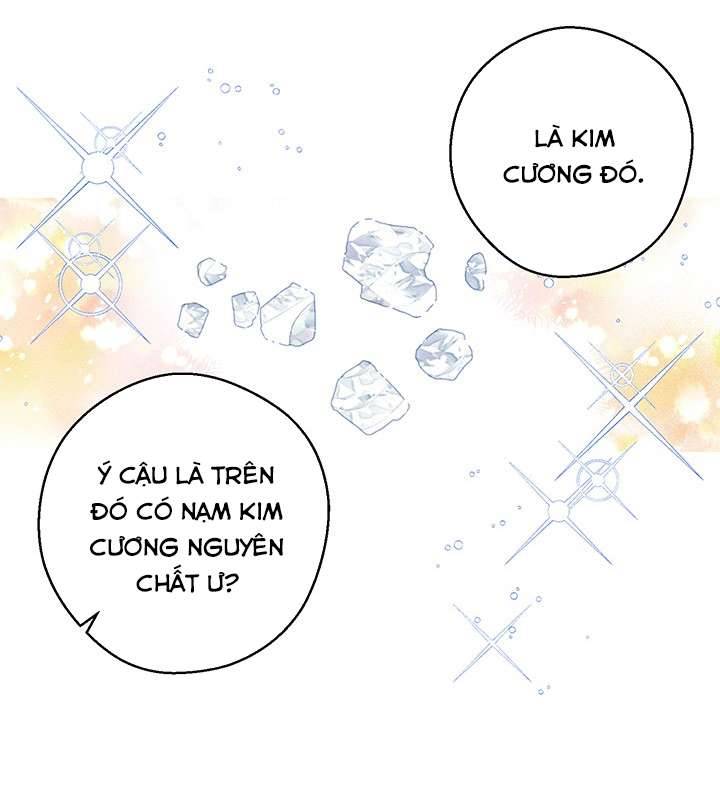 Trước Tiên Phải Giấu Em Trai Cái Đã! Chap 17 - Trang 2