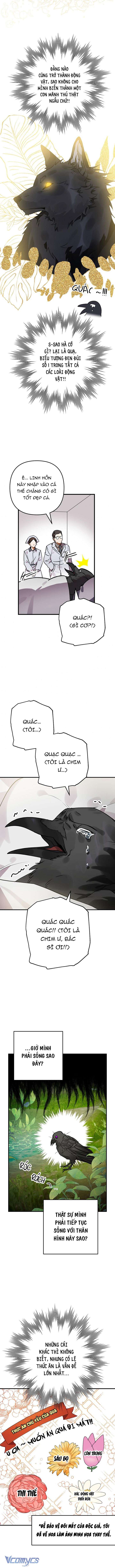Bỗng Nhiên Tôi Trở Thành Quạ Đen!! Chapter 1 - Trang 4