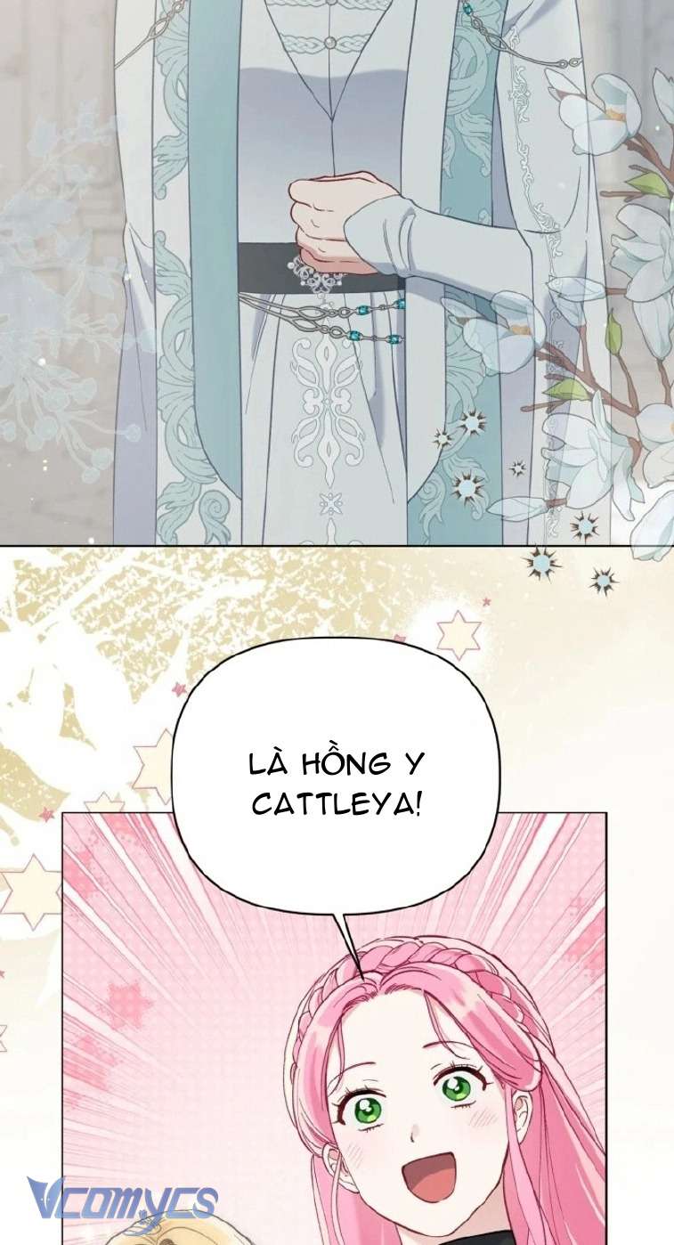 Sự Điều Trị Đặc Biệt Của Tinh Linh Chapter 96 - Next Chapter 97