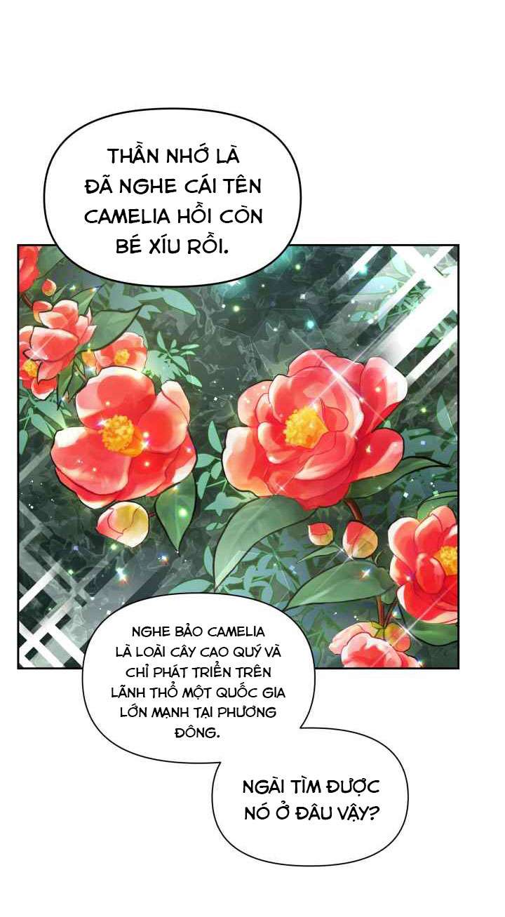 Người Bảo Hộ Của Bạo Quân Là Ma Nữ Tàn Độc Chap 17 - Trang 4