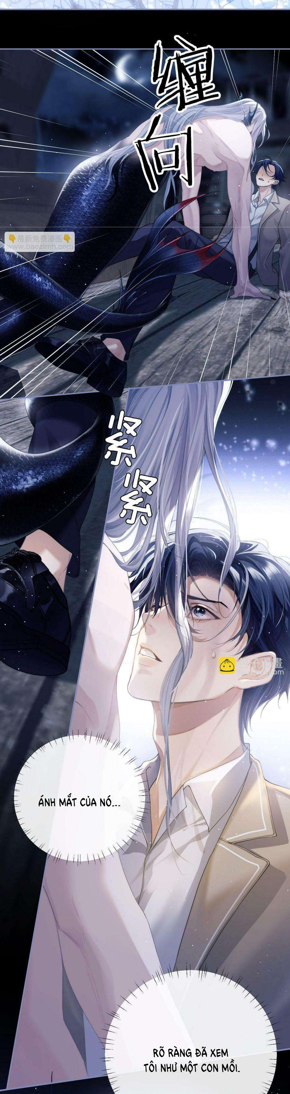 Nhân Ngư Desharow Chapter 1 - Next Chapter 2