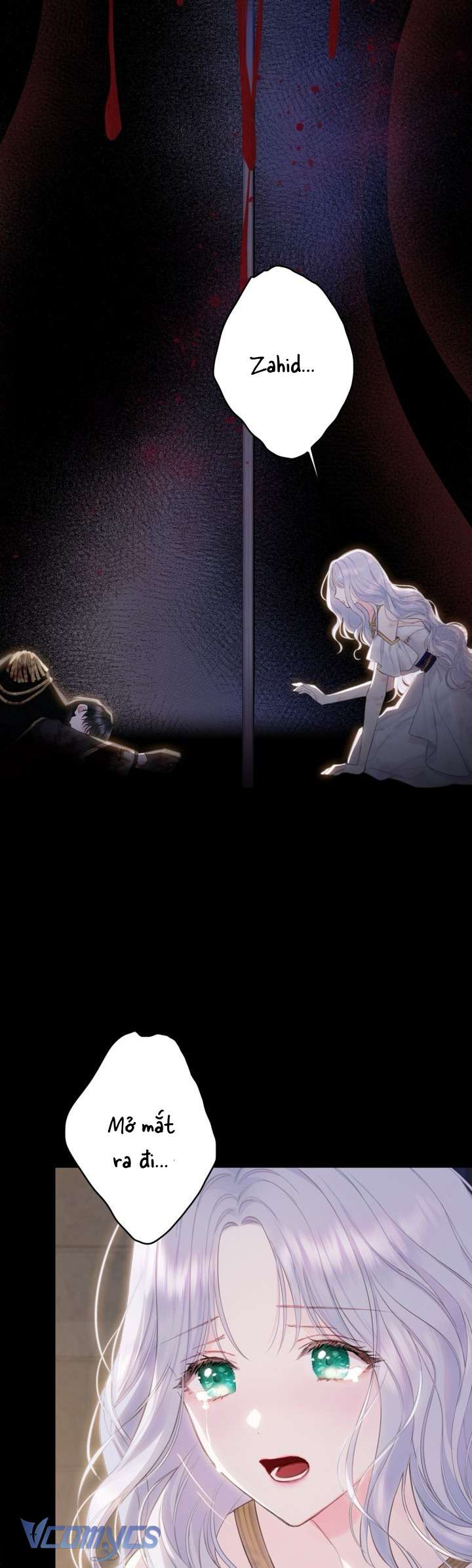 Người Anh Trai Mạnh Nhất Của Tôi Đã Mất Trí Nhớ Chap 1 - Trang 4