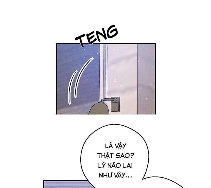 Trước Tiên Phải Giấu Em Trai Cái Đã! Chap 12 - Trang 2