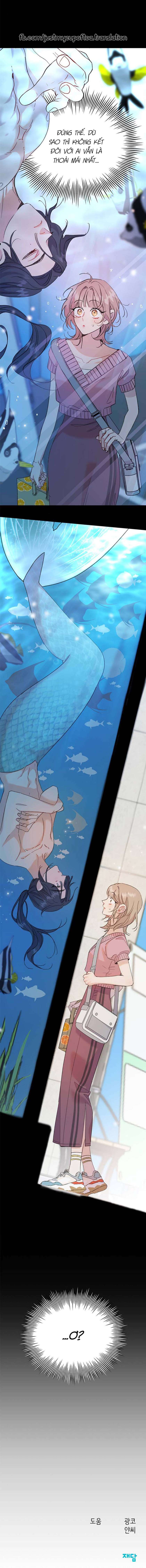 Con Cá Mà Tôi Yêu Chap 4 - Trang 2