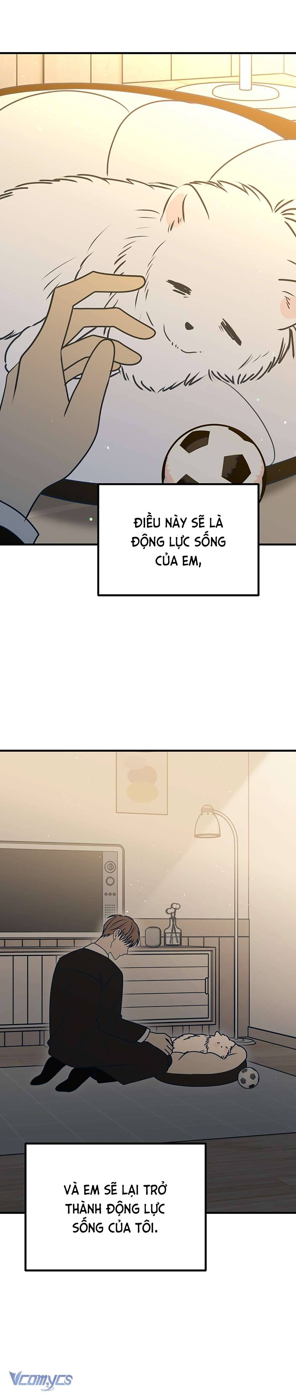Kẻ Rác Rưởi Không Đáng Được Yêu Chapter 115 - Trang 4