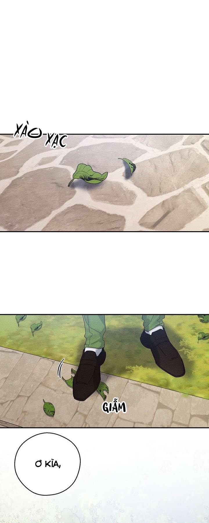 Trước Tiên Phải Giấu Em Trai Cái Đã! Chap 38 - Trang 2