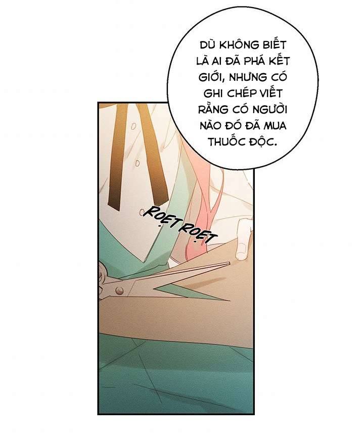 Trước Tiên Phải Giấu Em Trai Cái Đã! Chap 12 - Trang 2