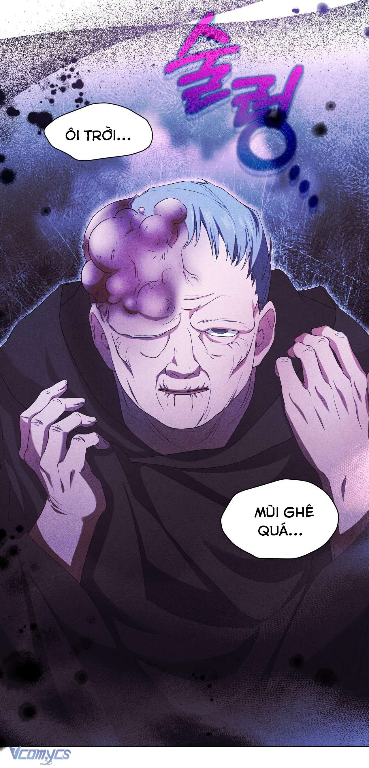 Thánh Nữ Giả Muốn Bỏ Trốn Chap 9 - Next Chap 10