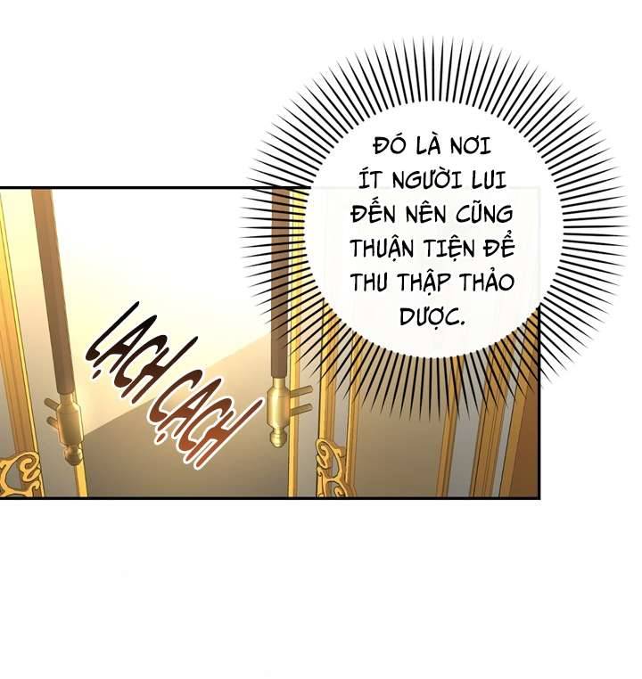 Phương Pháp Che Giấu Đứa Con Của Hoàng Đế Chapter 37 - Next Chapter 37.5