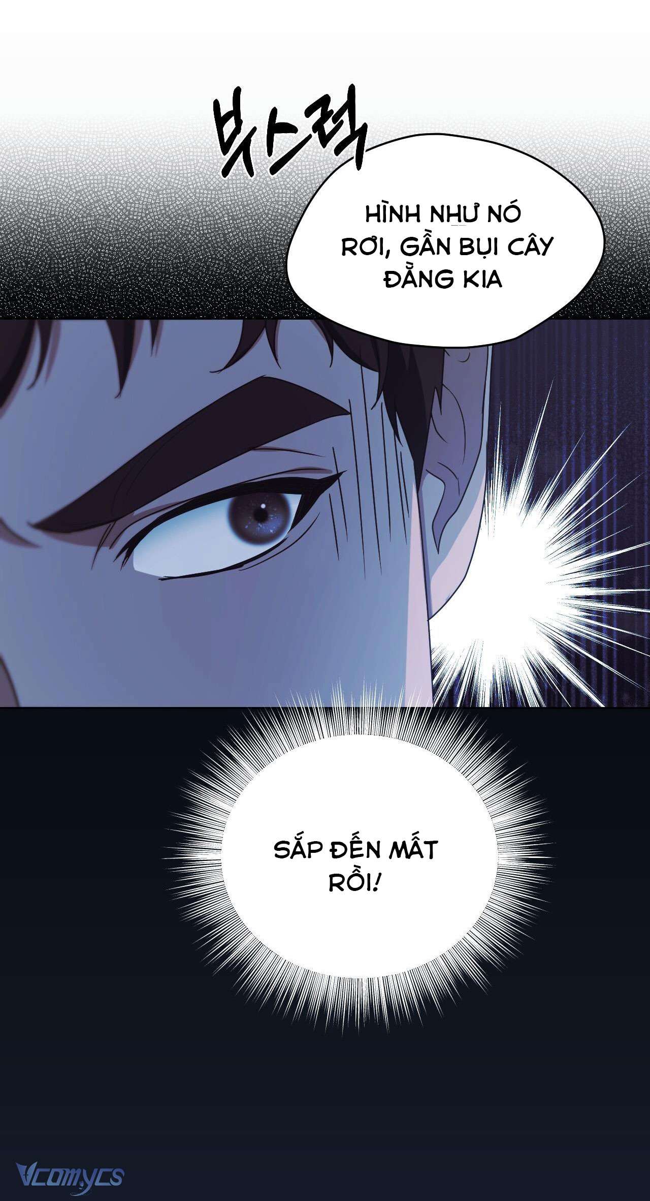 Thánh Nữ Giả Muốn Bỏ Trốn Chap 12 - Next Chap 13