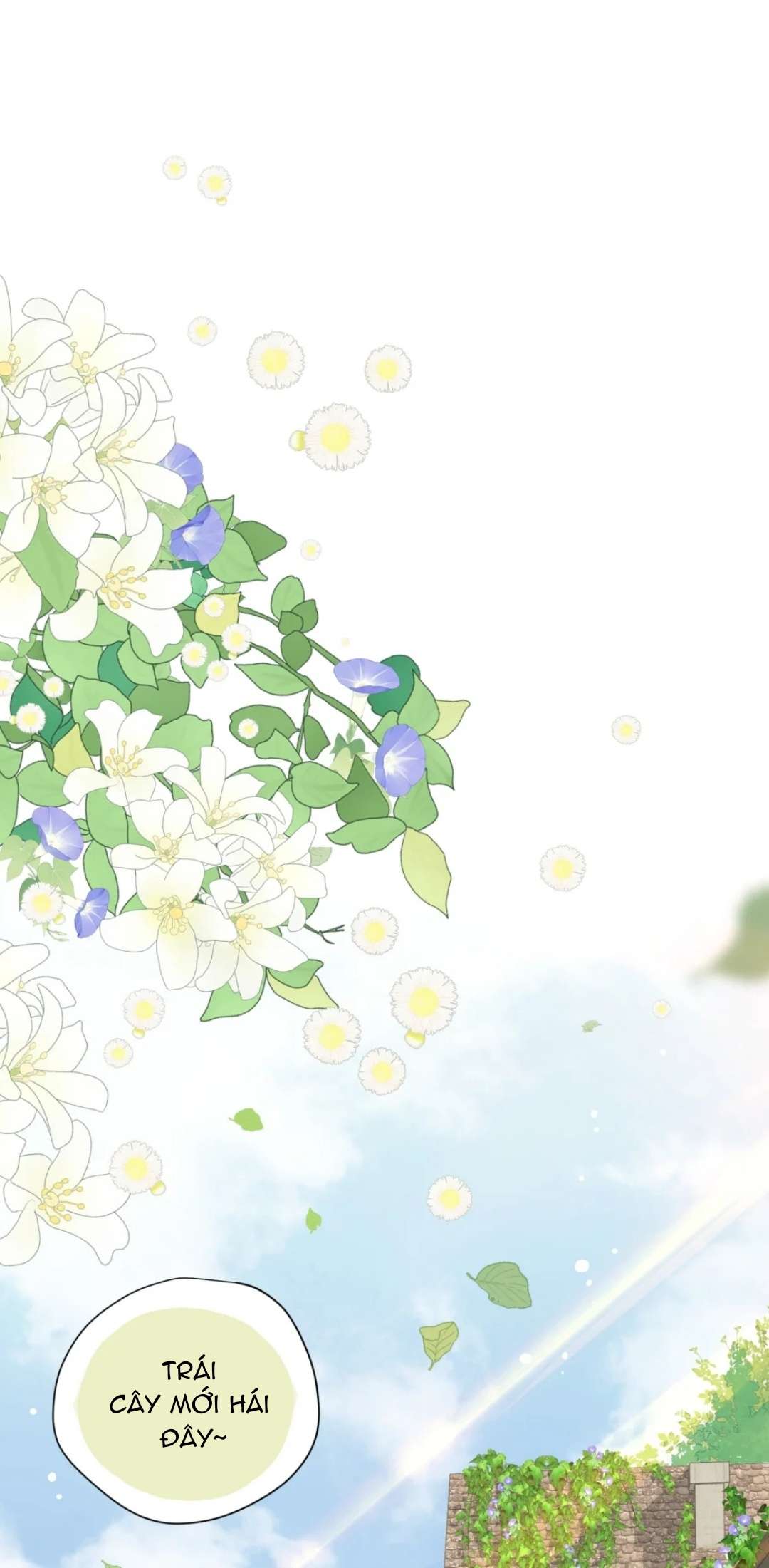 Xuyên thành phù thủy nuôi dưỡng kỵ sĩ thánh điện Chapter 18 - Next Chapter 19